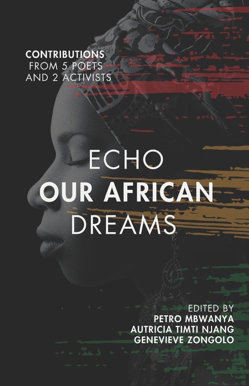 Front cover of Echo Our African Dreams, a collaborative Voice1Africa anthology.
